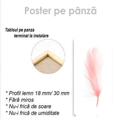 Poster - Pană roz, 30 x 45 см, Panza pe cadru