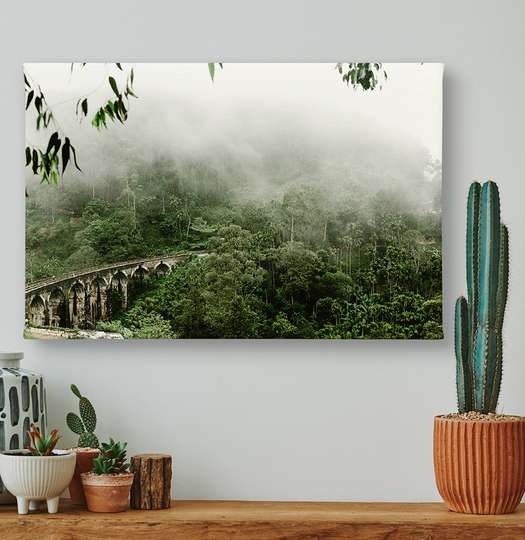 Poster - Podul din jungla înnorată, 45 x 30 см, Panza pe cadru, Natură
