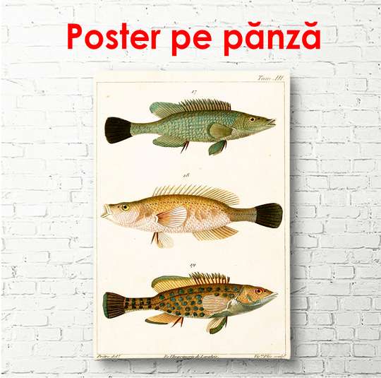 Poster - Fish on a beige background, 45 x 90 см, Framed poster, Vintage