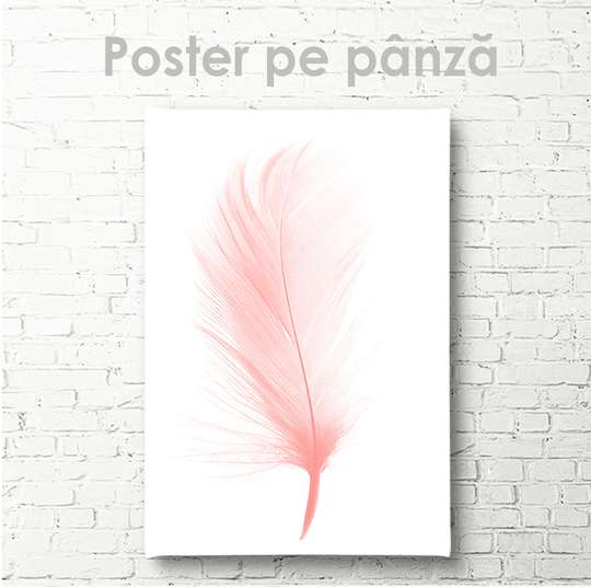 Постер - Розовое перо, 30 x 45 см, Холст на подрамнике, Минимализм