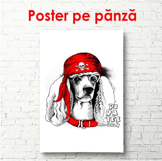 Poster - Poodle in a red cap on a white background, 60 x 90 см, Framed poster, Minimalism