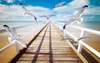 Wall Mural - Wooden bridge with seagulls in the sky