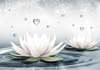 Fototapet - Flori de lotus pe apă