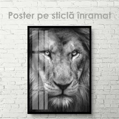 Poster, Tiger look, 30 x 45 см, Canvas on frame