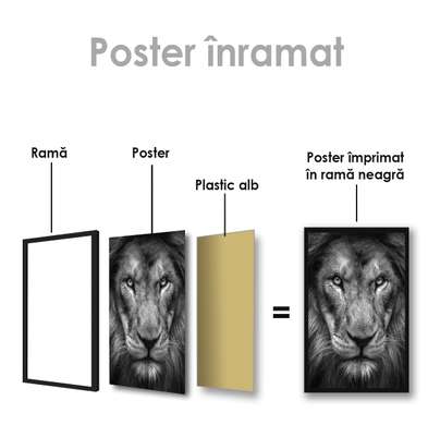 Poster, Tiger look, 30 x 45 см, Canvas on frame
