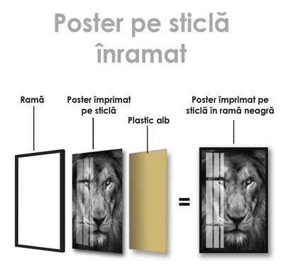 Poster, Privirea tigrului, 30 x 45 см, Panza pe cadru