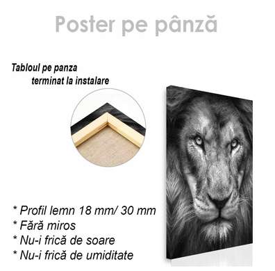 Постер, Взгляд тигра, 30 x 45 см, Холст на подрамнике