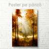 Постер - Осенний лес, 30 x 45 см, Холст на подрамнике