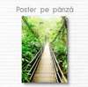 Постер - Мост в зеленом лесу, 30 x 45 см, Холст на подрамнике, Природа
