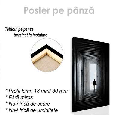 Poster - Ieșire din Tunel, 30 x 45 см, Panza pe cadru