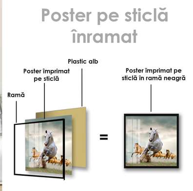 Poster, Caii aleargă, 40 x 40 см, Panza pe cadru
