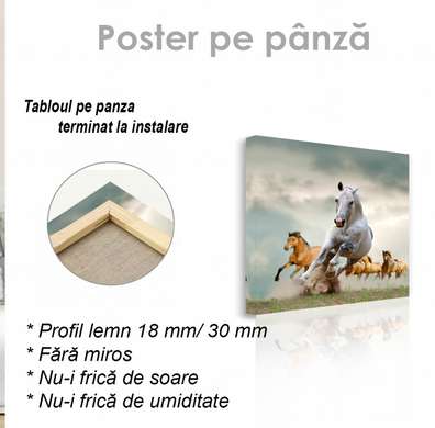 Постер, Бегущие лошади, 40 x 40 см, Холст на подрамнике