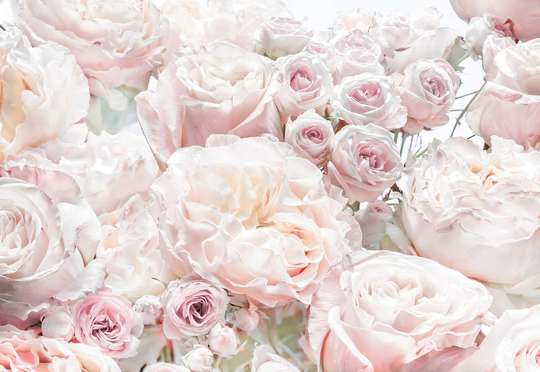 Фотообои - Пудровые пионы и розы
