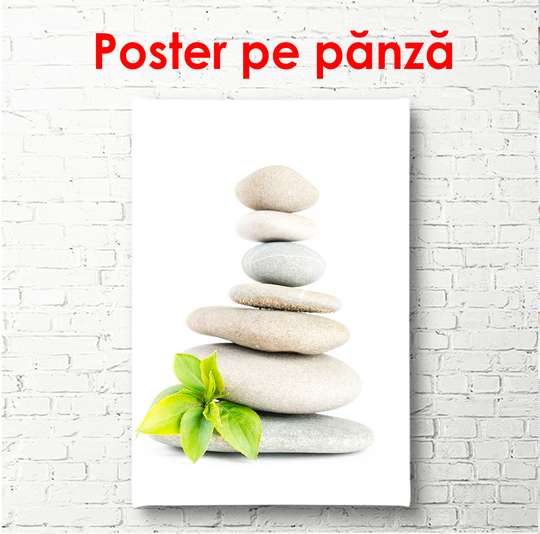 Постер - Белые камни и зеленый листик на белом фоне, 60 x 90 см, Постер в раме, Минимализм