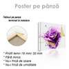 Poster - Trandafir purpuriu, 40 x 40 см, Panza pe cadru