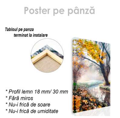 Poster - Râul din pădure, 30 x 45 см, Panza pe cadru