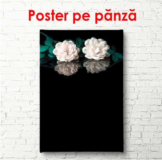Poster - White roses on a black background, 30 x 60 см, Canvas on frame, Botanical
