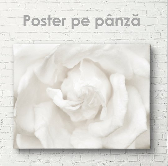 Постер, Белый цветок, 45 x 30 см, Холст на подрамнике
