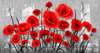 Wall Mural - Bright red poppies on a black white background