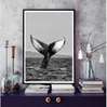 Poster - Coada balenei, 30 x 45 см, Panza pe cadru