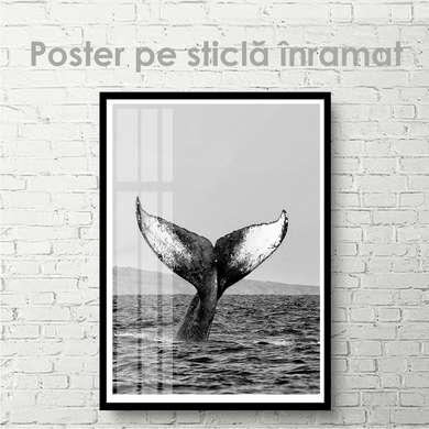 Poster - Coada balenei, 30 x 45 см, Panza pe cadru