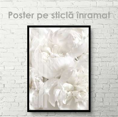 Постер - Белый пион, 30 x 45 см, Холст на подрамнике
