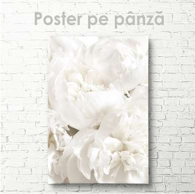 Постер - Белый пион, 30 x 45 см, Холст на подрамнике