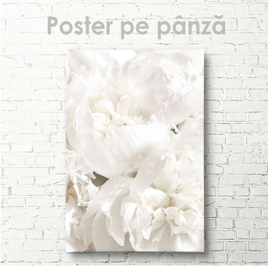 Poster, Bujorul alb, 30 x 45 см, Panza pe cadru