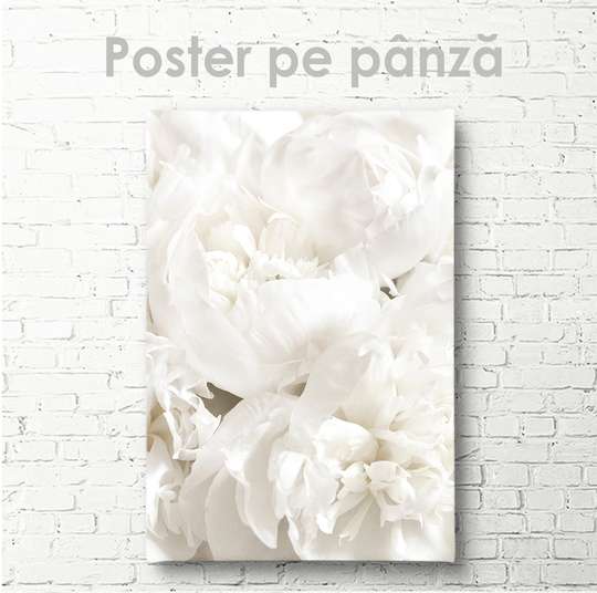 Постер - Белый пион, 30 x 45 см, Холст на подрамнике, Цветы