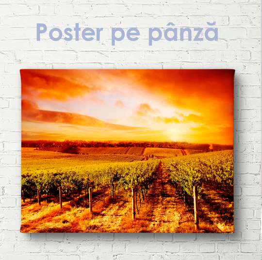 Постер - Винограднике на фоне огненого заката, 45 x 30 см, Холст на подрамнике, Природа
