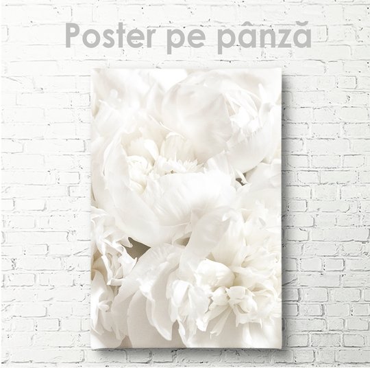 Постер, Белый пион, 30 x 45 см, Холст на подрамнике