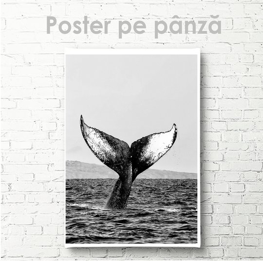 Постер, Хвост кита, 30 x 45 см, Холст на подрамнике