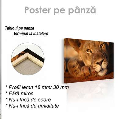 Poster, Leoaică, 45 x 30 см, Panza pe cadru