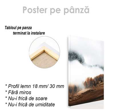 Poster - Fog in the mountains, 30 x 45 см, Canvas on frame