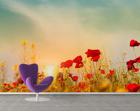 Wall Mural - Poppy field at sunset