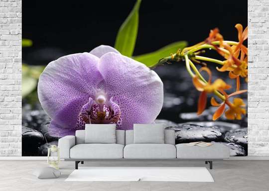 Fototapet - Orhidee lila