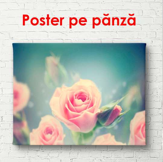 Poster - Pink rose, 90 x 60 см, Framed poster, Flowers