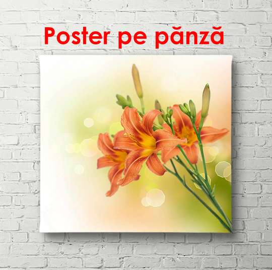Постер - Оранжевые цветы на нежном фоне, 100 x 100 см, Постер в раме, Цветы