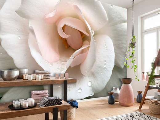 Fototapet 3D - Floare delicată cu picături de rouă