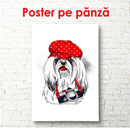 Poster - White small dog with a red cap, 60 x 90 см, Framed poster, Minimalism