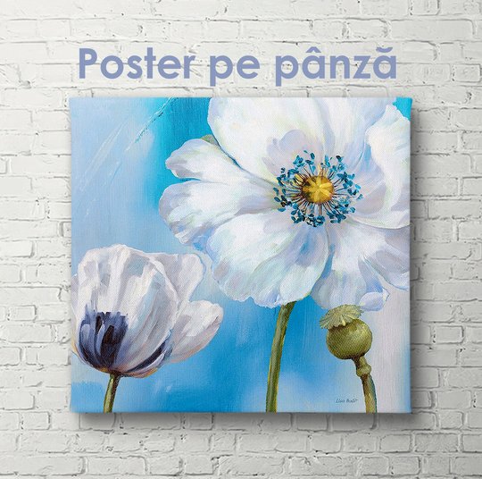 Постер, Белый цветок мака, 40 x 40 см, Холст на подрамнике