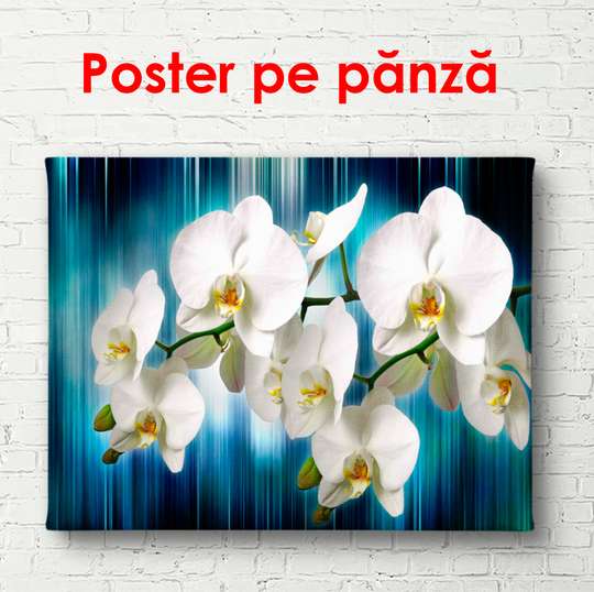 Poster - White orchids on a blue background, 90 x 45 см, Framed poster, Flowers