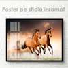 Poster, Two graceful horses, 45 x 30 см, Canvas on frame