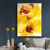 Poster - Yellow flower, 30 x 45 см, Canvas on frame, Flowers