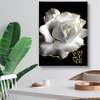 Постер - Белая роза с золотым контуром, 30 x 45 см, Холст на подрамнике, Цветы