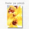 Poster - Yellow flower, 30 x 45 см, Canvas on frame, Flowers