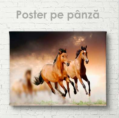 Постер, Две грациозные лошади, 45 x 30 см, Холст на подрамнике