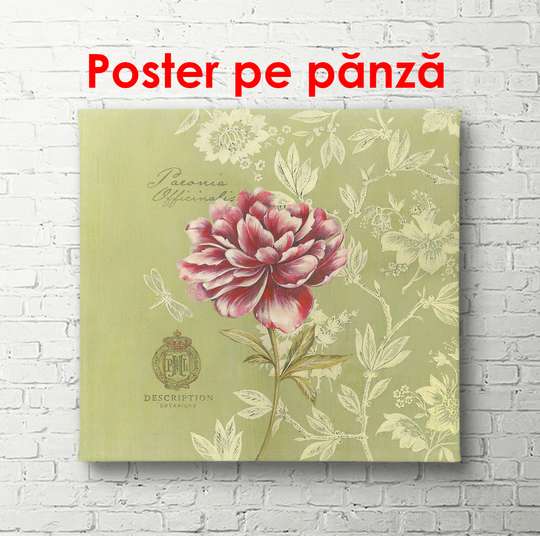 Постер - Розовый цветок на зеленом фоне, 100 x 100 см, Постер в раме, Прованс