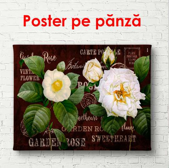 Постер - Белые крупные пионы с зелеными листьями на коричневом фоне, 90 x 60 см, Постер в раме, Ботаника