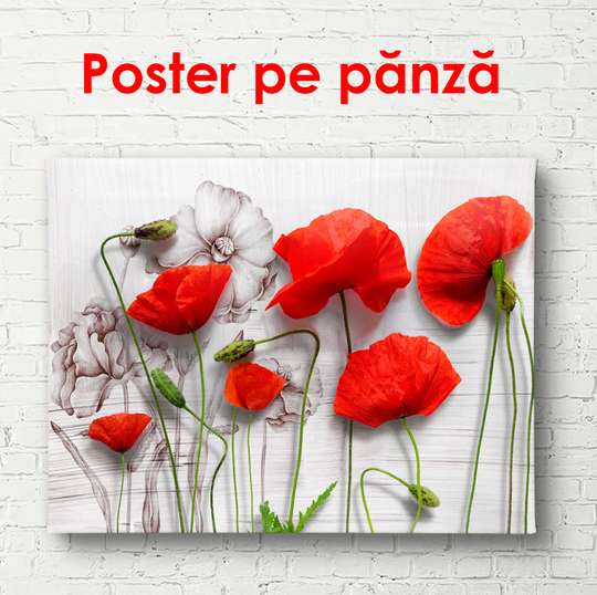 Poster - Pink poppies on a gray wall, 90 x 60 см, Framed poster, Flowers
